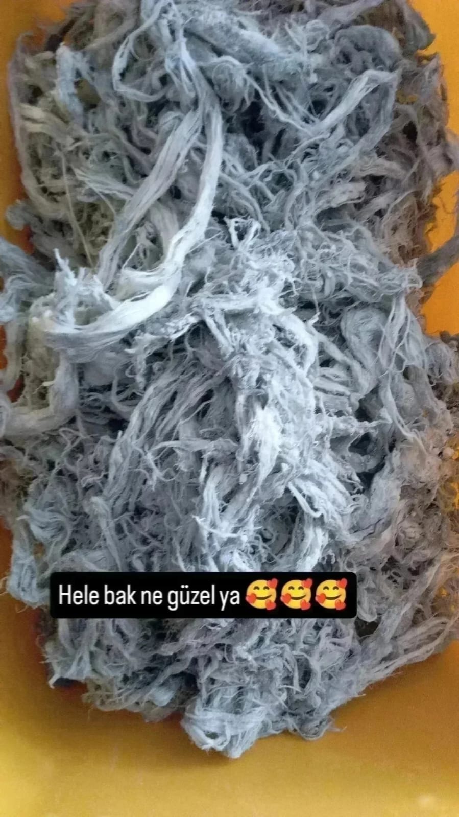 Aras Ticaret